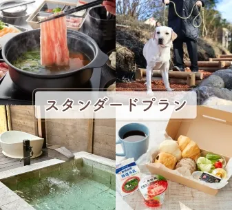 スタンダードプラン